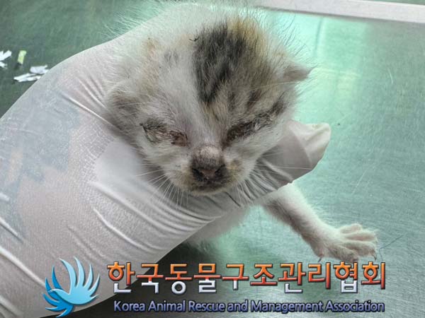 종료(자연사) 한국…